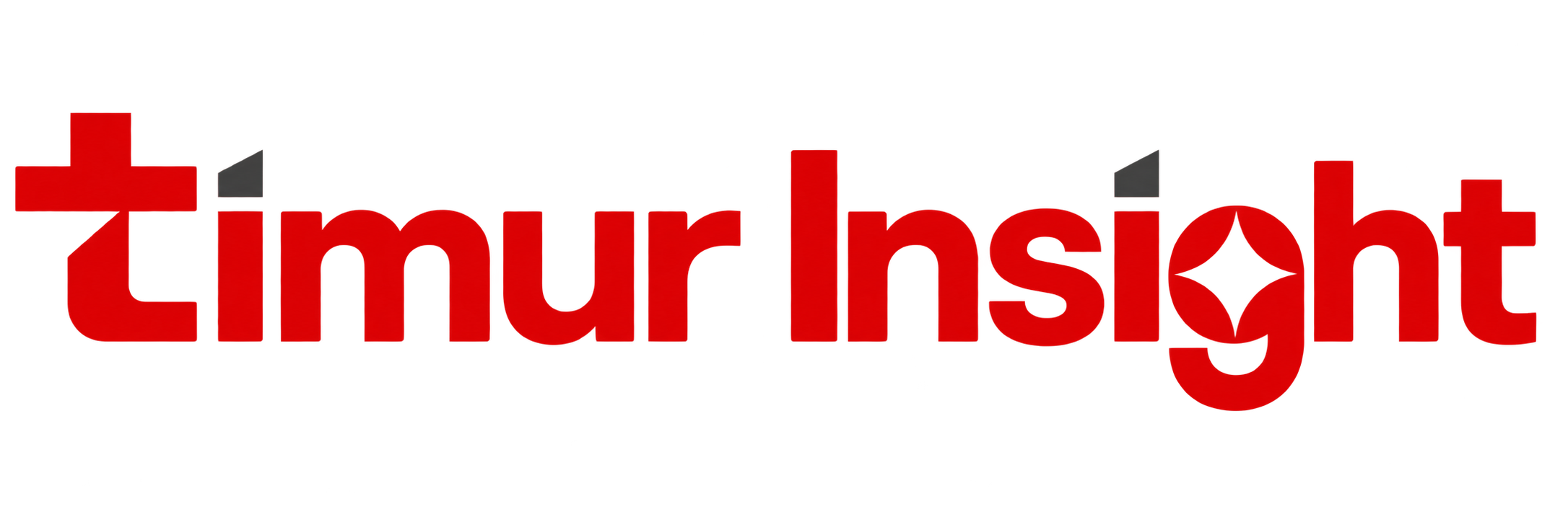 Timur Insight logo